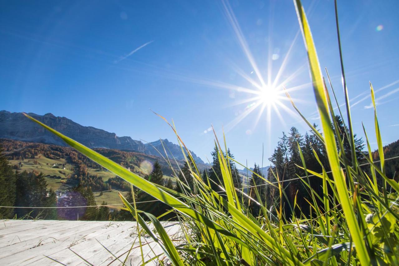 Agriturismo Maso Runch บาเดีย ภายนอก รูปภาพ