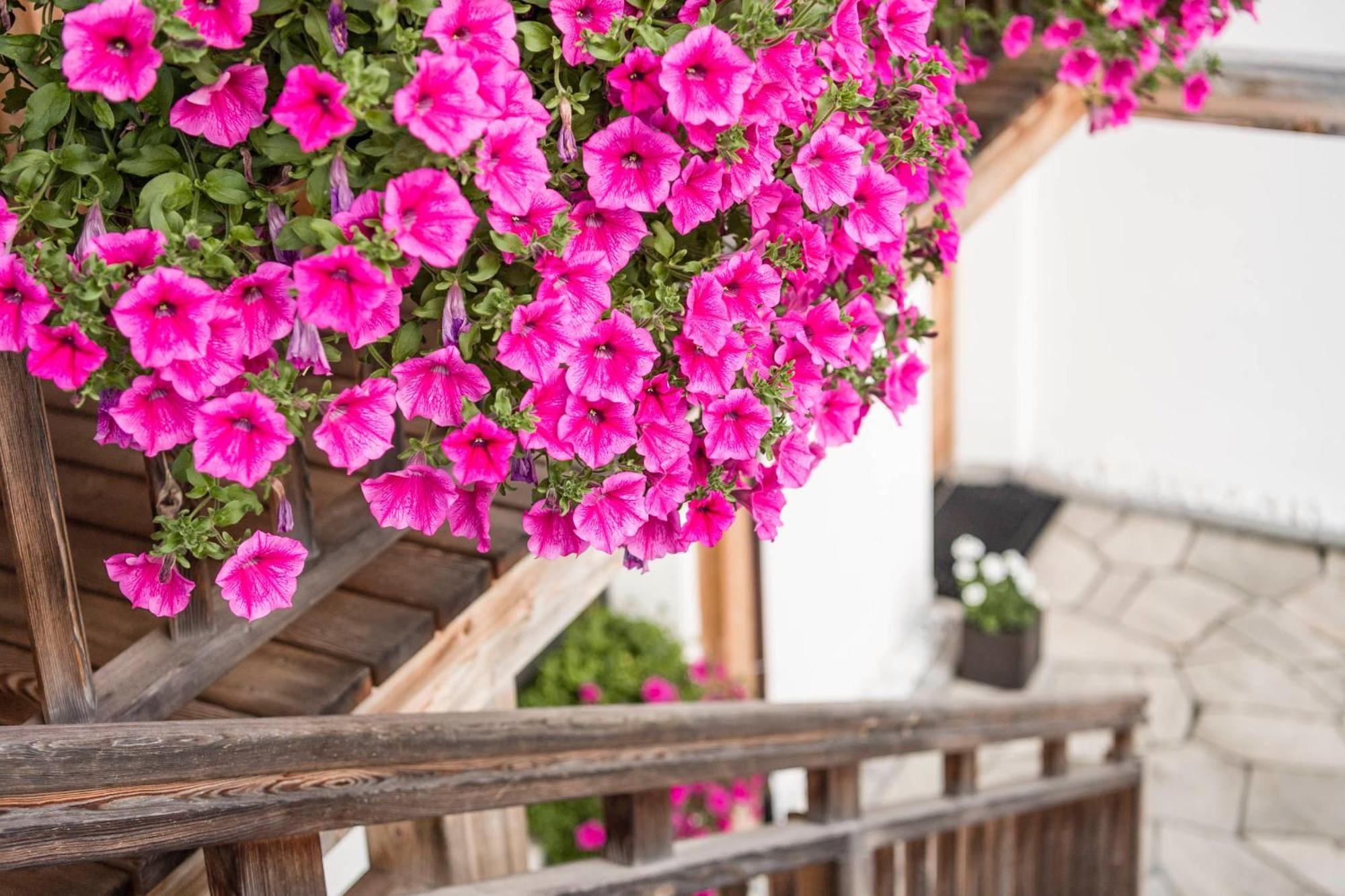 Agriturismo Maso Runch บาเดีย ภายนอก รูปภาพ