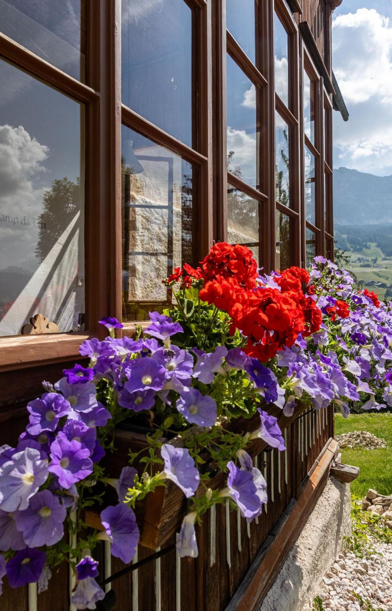 Agriturismo Maso Runch บาเดีย ภายนอก รูปภาพ
